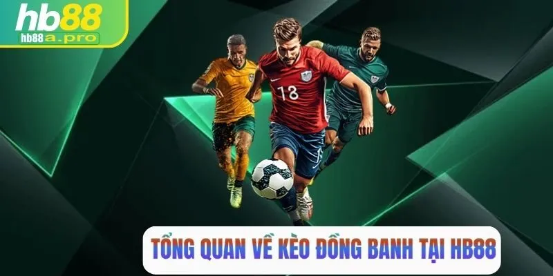 Tổng quan về kèo đồng banh tại HB88